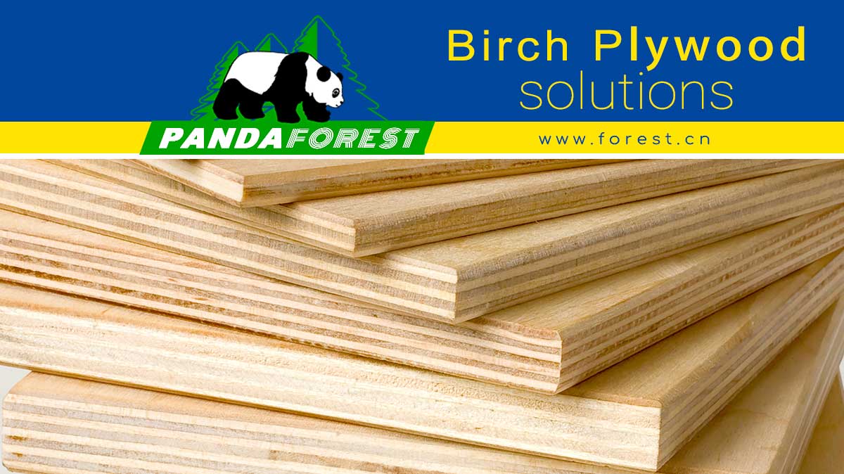 Birch Plywood Brings Innovation to Building Materials