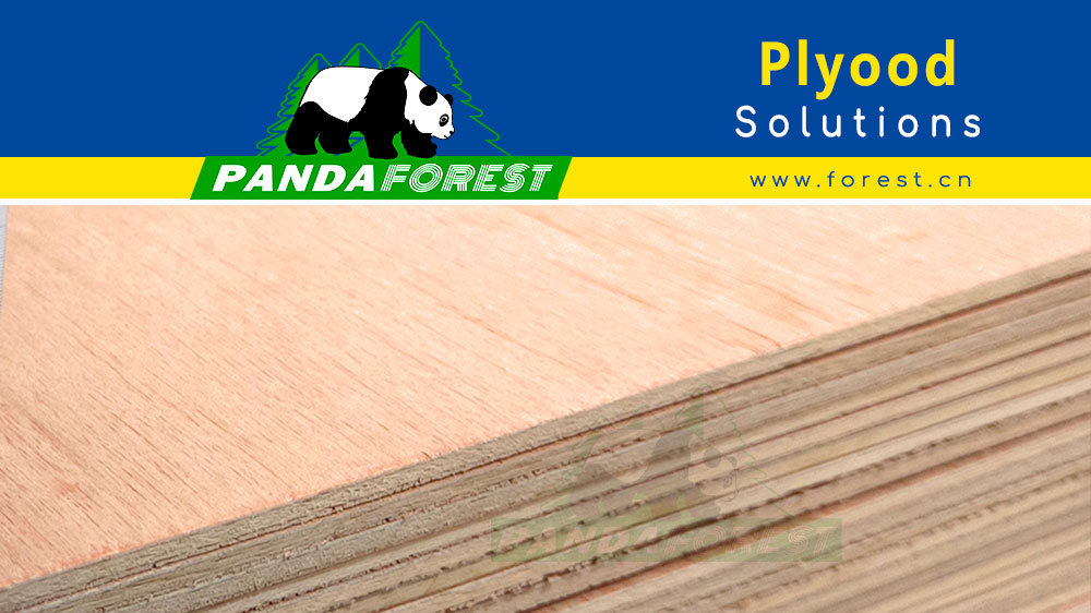 4x8 Plywood Revolution by PANDA Forest