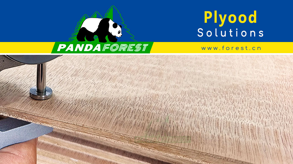 4x8 Plywood Innovations Unveiled by PANDA Forest