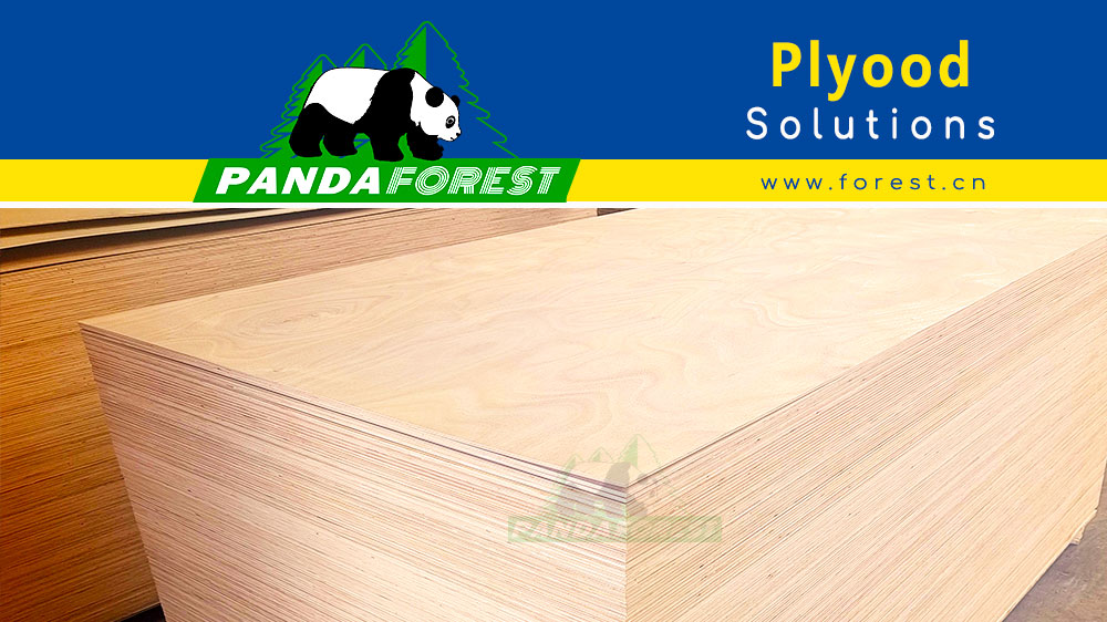 PANDA Forest latest 4x8 plywood innovations, combining sustainability and durability.