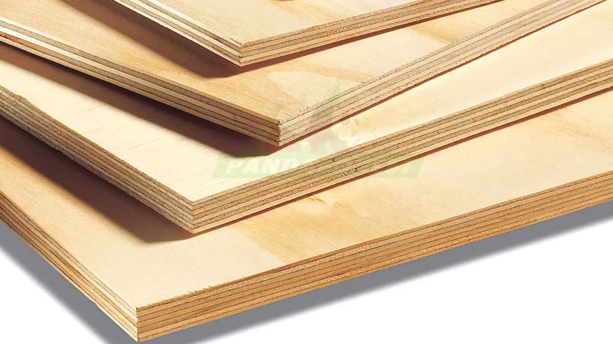 cdx-pine-plywood