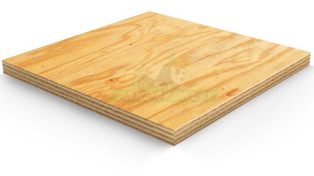 cdx pine plywood
